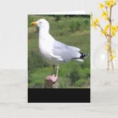 Carte de vœux debout mouette – Mouette faune (Fleur jaune)