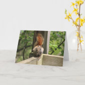 Carte de voeux d'écureuil (Fleur jaune)