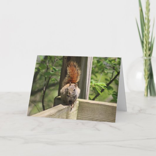 Carte de voeux d'écureuil (Devant)