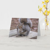 Carte de voeux d'écureuil (Fleur jaune)