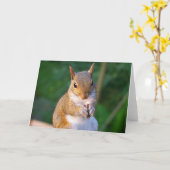 Carte de voeux d'écureuil (Fleur jaune)