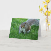 Carte de voeux d'écureuil gras (Fleur jaune)