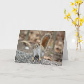 Carte de voeux d'écureuil rouge (Fleur jaune)