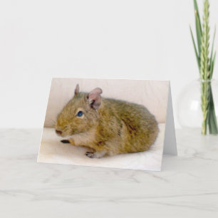 Carte de voeux Degu