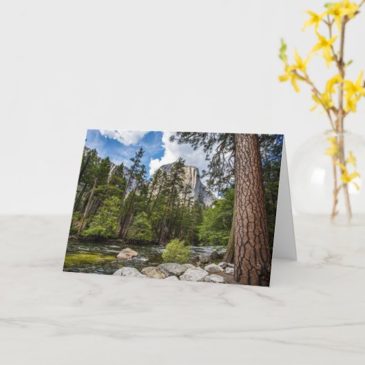 Carte de voeux d'EL Capitan (Fleur jaune)