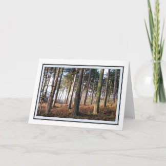 Carte de voeux Delamere Forest