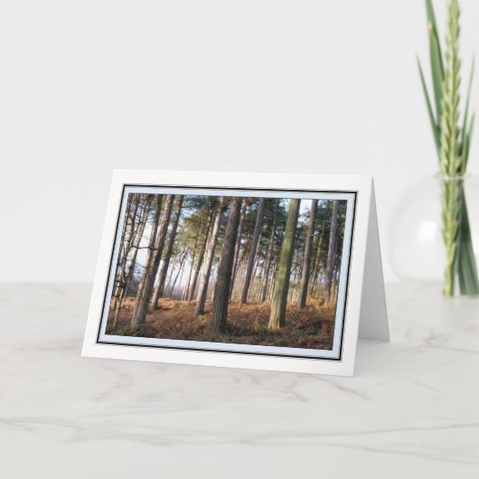 Carte de voeux Delamere Forest (Devant)