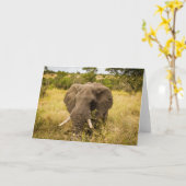 Carte de voeux d'éléphant (Fleur jaune)