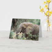 Carte de voeux d'éléphant (Fleur jaune)