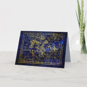 carte de voeux delphinus constellation