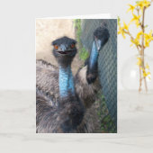 Carte de voeux d'émeu (Fleur jaune)