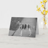 Carte de voeux d'Enzo (Fleur jaune)