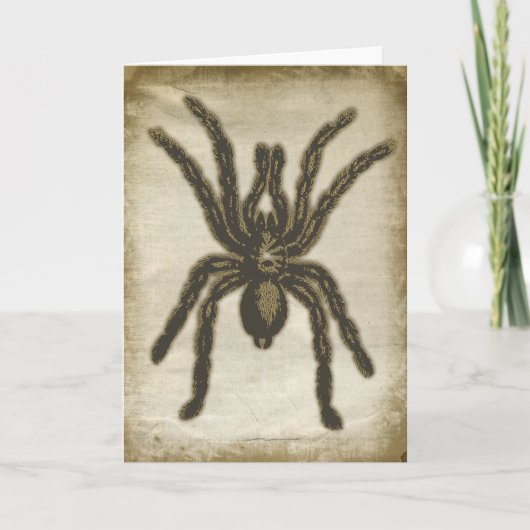 Carte de voeux déplaisante Spider (Devant)