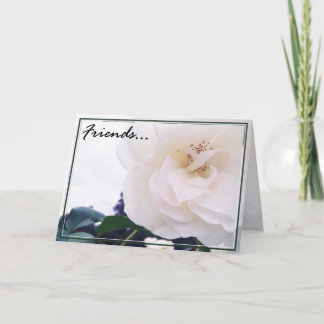 Carte de voeux des amis 2