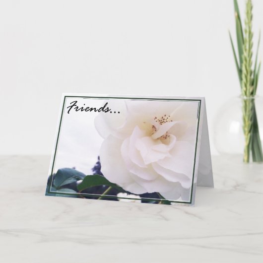 Carte de voeux des amis 2 (Devant)