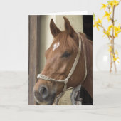 Carte de voeux des Chevaux arabes (Fleur jaune)