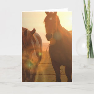 Carte de voeux des Chevaux du coucher du soleil