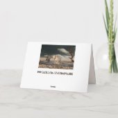 carte de voeux des chevaux du désert (Dos)