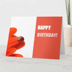 Carte de voeux des coccinelles orangées