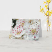 Carte de voeux des fleurs d'épines blanches (Fleur jaune)