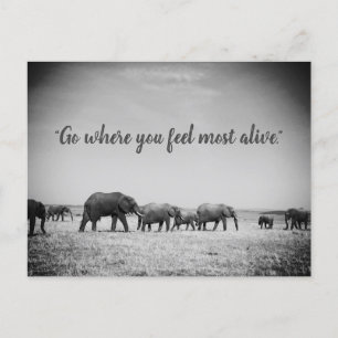 Carte de voeux des générations d'éléphants