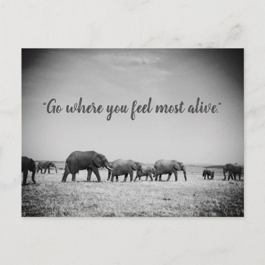 Carte de voeux des générations d'éléphants (Devant)