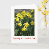 Carte de voeux des jonquilles Saint-David (Fleur jaune)