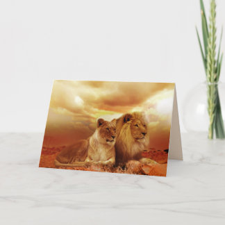 carte de voeux des lions safari