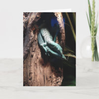 carte de voeux d'étreinte de lézard