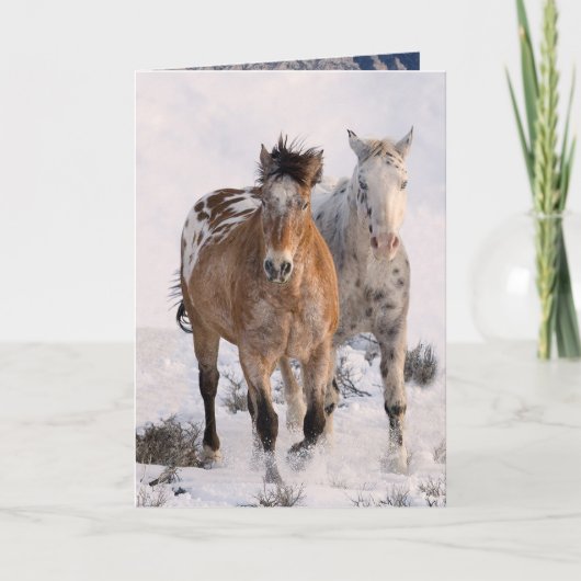 Carte de vœux Deux Appaloosas (Devant)