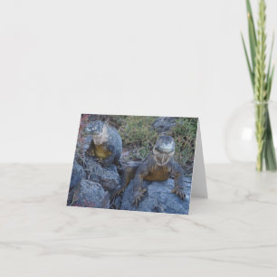 Carte de vœux Deux Iguanes