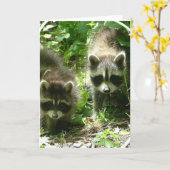 Carte de voeux d'habitat de raton laveur (Fleur jaune)