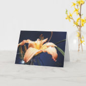 Carte de voeux d'hémérocalle de pêche (Fleur jaune)