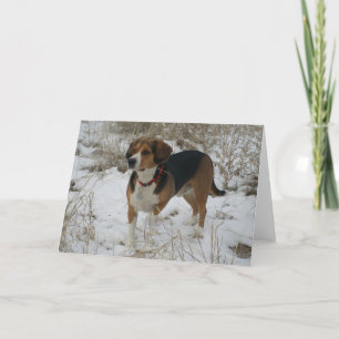 Carte de voeux d'hiver de beagle de neige - chien