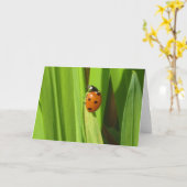 Carte de voeux d'image de photo de couleur (Fleur jaune)