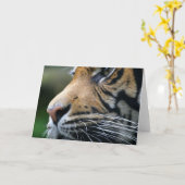 Carte de voeux d'image de tigre (Fleur jaune)