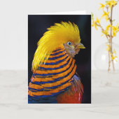 Carte de voeux d'impression de faisan d'or (Fleur jaune)