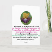 CARTE DE VOEUX D'IRIS DE BLANC "D'ÉTÉ TOSCAN" (Dos)