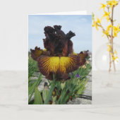 CARTE DE VOEUX D'IRIS DE BLANC "D'ÉTÉ TOSCAN" (Fleur jaune)