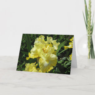 Carte de voeux d'iris jaune