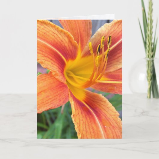 Carte de voeux diurne Orange (Devant)