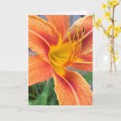 Carte de voeux diurne Orange (Fleur jaune)