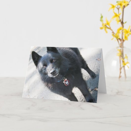 Carte de voeux Doggie (Fleur jaune)