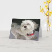 Carte de voeux Doggie (Fleur jaune)