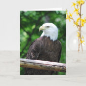 Carte de voeux d'oiseau d'Eagle chauve (Fleur jaune)