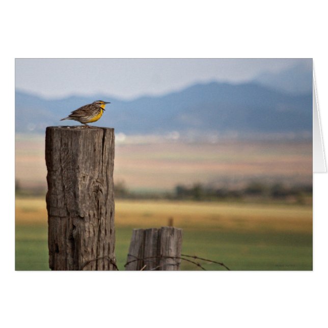 Carte de voeux d'oiseaux (Devant horizontal)