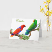 Carte de voeux d'oiseaux d'Eclectus (Fleur jaune)