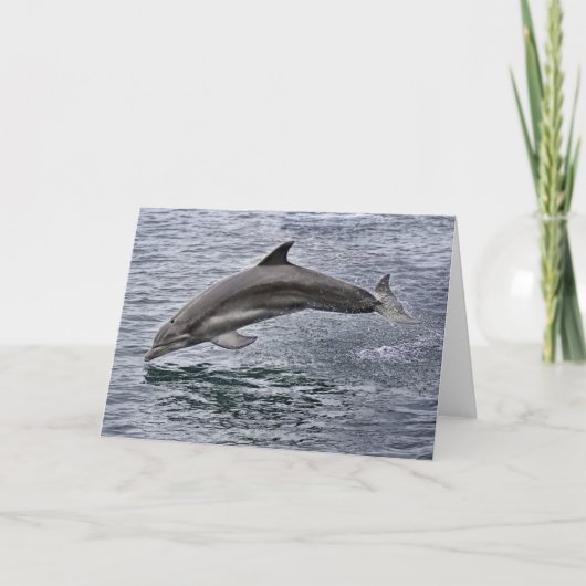 Carte de voeux Dolphin (Devant)