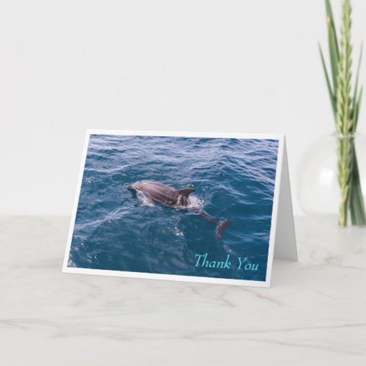Carte de voeux Dolphin Bottlenose (Devant)