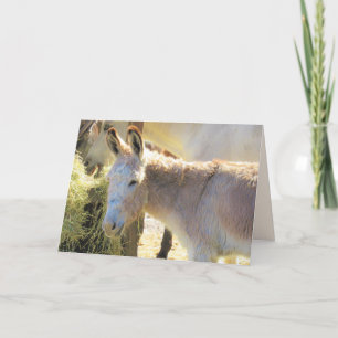 Carte de voeux Donkey